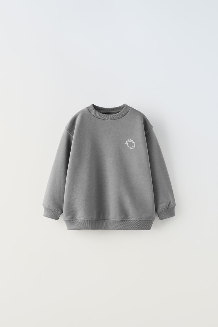 w sweatshirt zara